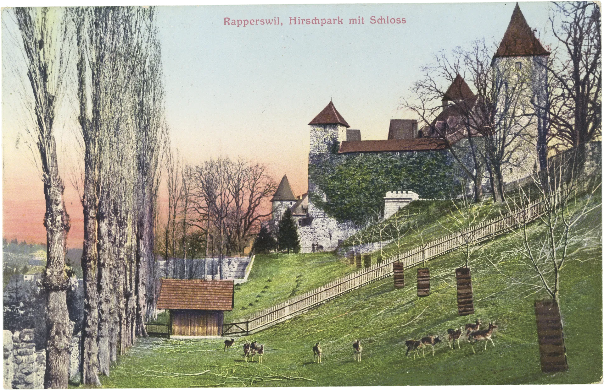 Rapperswil, Hirschpark mit Schloss – Vorderseite