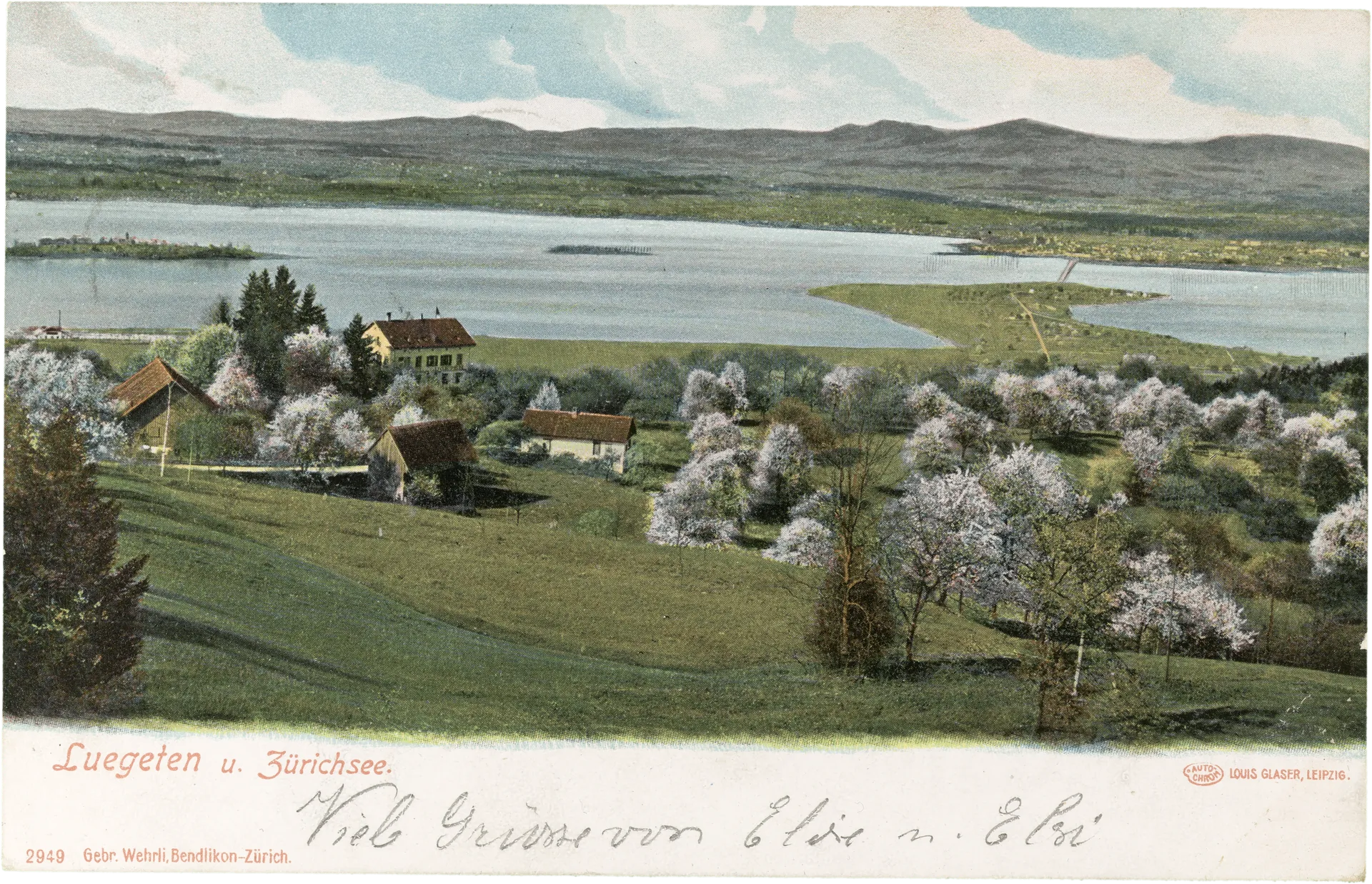 Luegeten u. Zürichsee. – Vorderseite