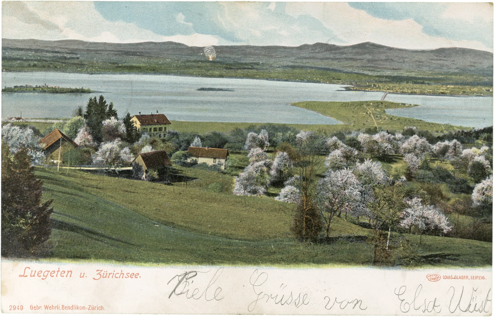 Luegeten u. Zürichsee. – Vorderseite