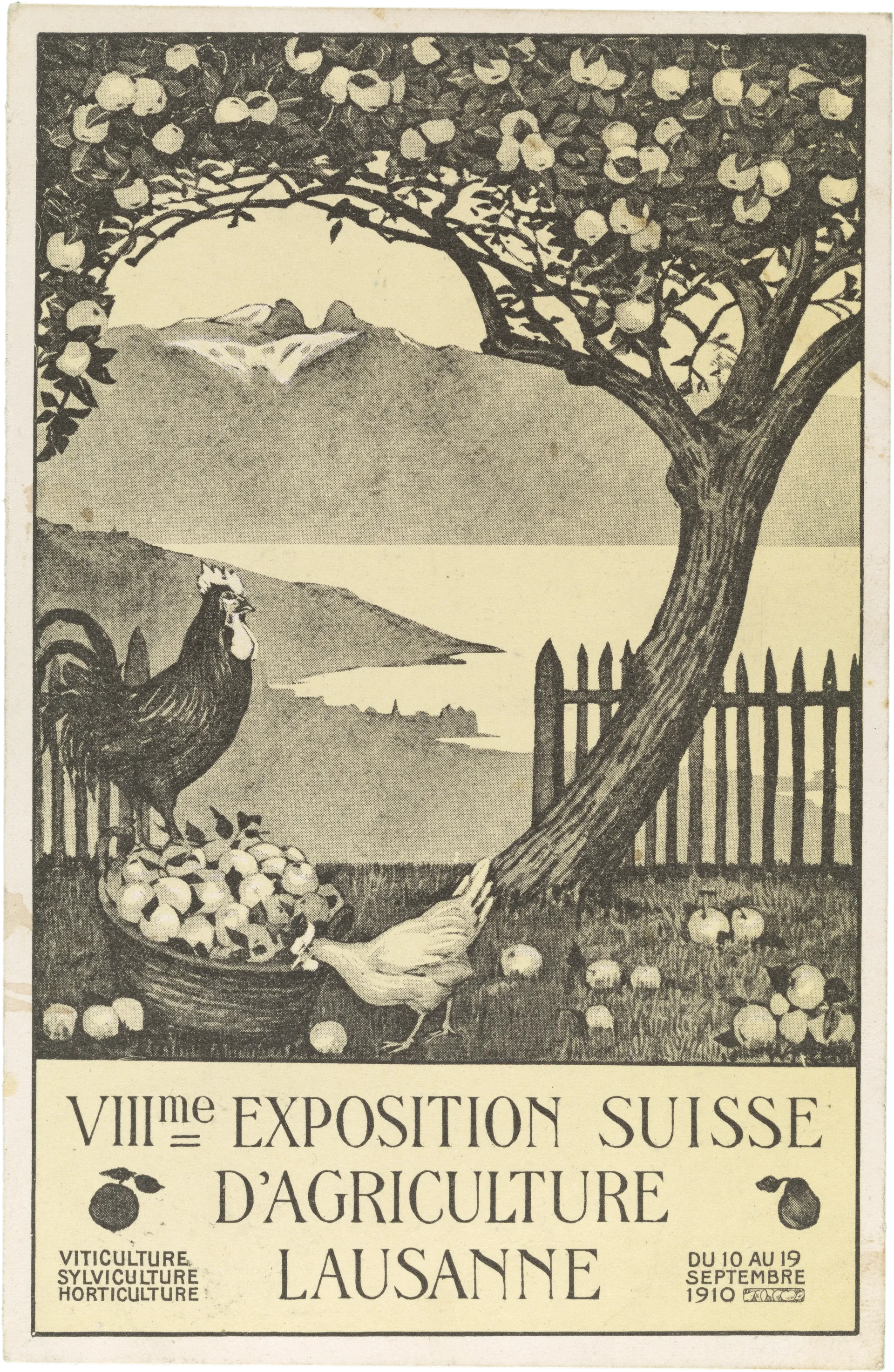 VIII'me Exposition suisse d'agriculture Lausanne – Vorderseite